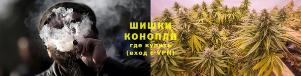 MESCALINE Аркадак